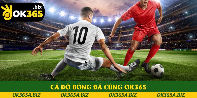 Cá Độ Bóng Đá: Bỏ Túi 4 Kinh Nghiệm Vàng Cho Cược Thủ