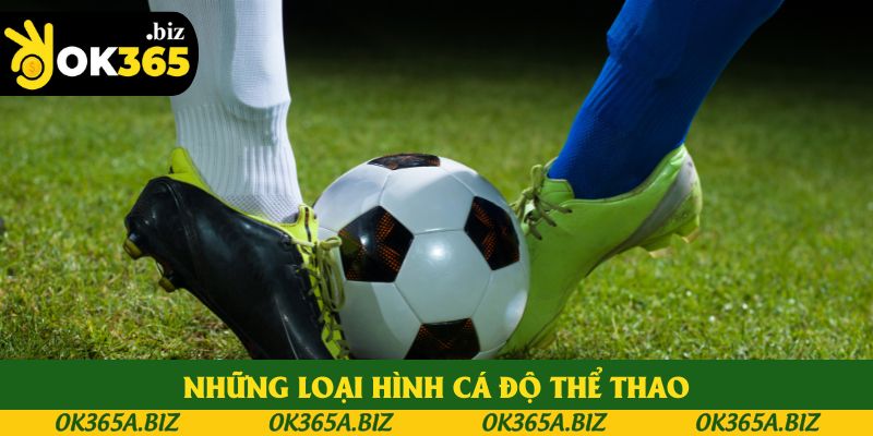 Những loại hình cá độ thể thao