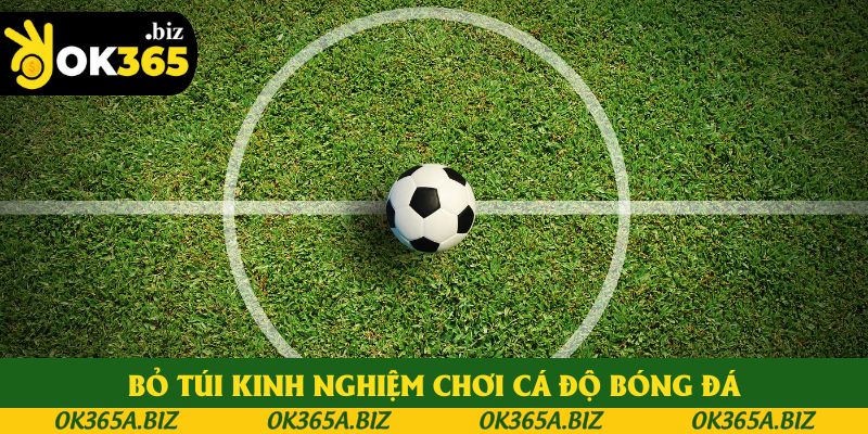 Bỏ túi kinh nghiệm chơi cá độ bóng đá