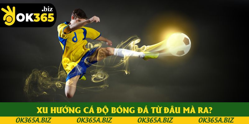 Xu hướng cá độ bóng đá từ đâu mà ra?