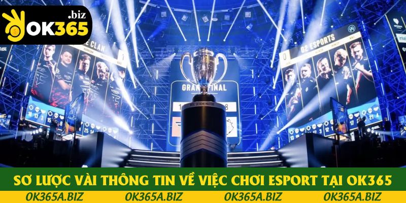 Sơ lược vài thông tin về việc chơi ESPORT tại OK365