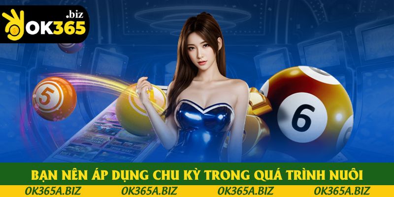 Bạn nên áp dụng chu kỳ trong quá trình nuôi