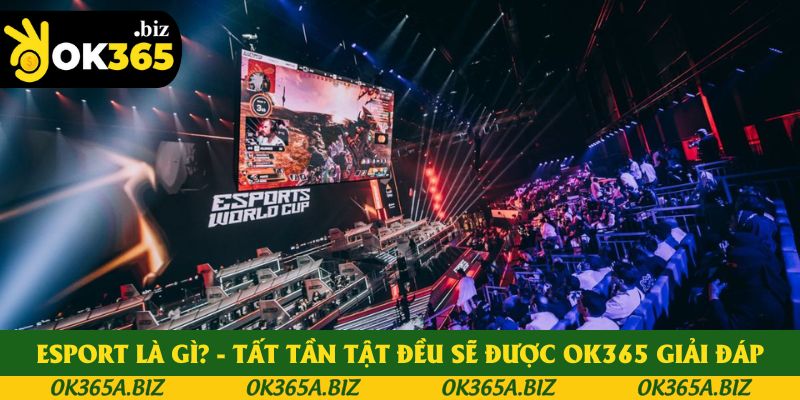 Esport Là Gì? Mọi Thắc Mắc Đều Được OK365 Giải Đáp