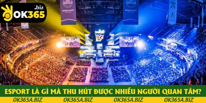 ESPORT là gì mà thu hút được nhiều người quan tâm?