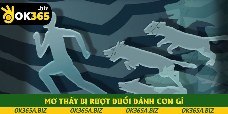 Lý giải giấc mơ bị rượt đuổi và ngã 