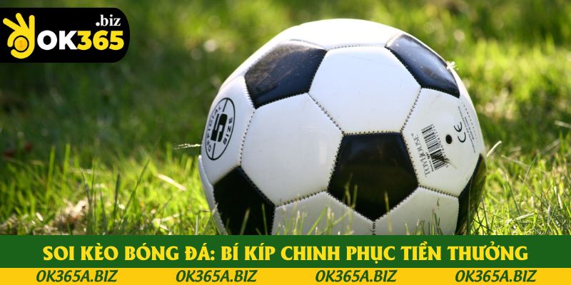 Soi Kèo Bóng Đá: Bí Kíp Chinh Phục Tiền Thưởng Cho Tân Thủ