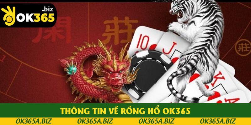 Tất tần tật thông tin về rồng hổ OK365